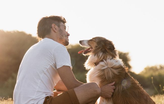 Пухнастий турист: що варто знати, вирушаючи в мандрівку з домашнім улюбленцем