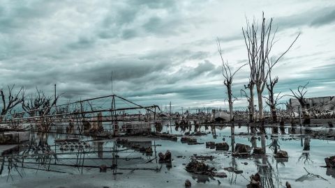 Що більш ймовірно призведе до кінця людства: війна, кліматична катастрофа чи штучний інтелект?