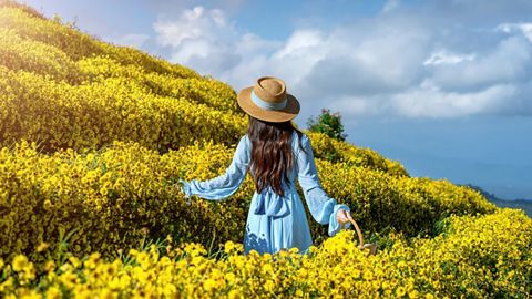 Гороскоп від Павла Глоби: літо принесе кардинальні зміни цим знакам Зодіаку