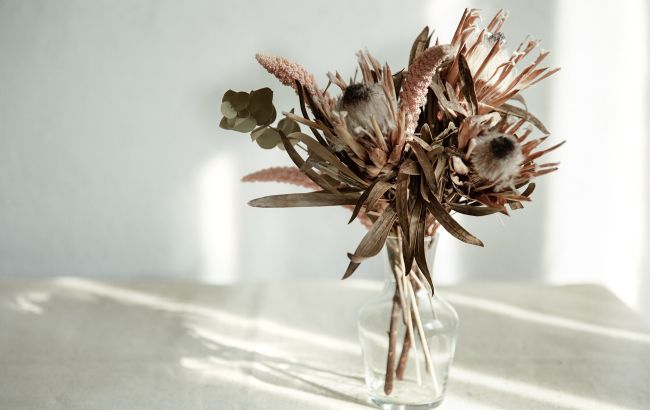 Правда ли, что засушенные цветы приносят несчастье: объяснение суеверия