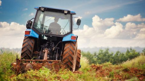 Одним все, другим ничего. Чем аграрный лоббизм грозит всей экономике