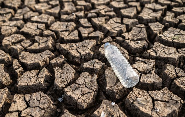 Посухи в Європі стануть більш суворими: вчені зробили заяву