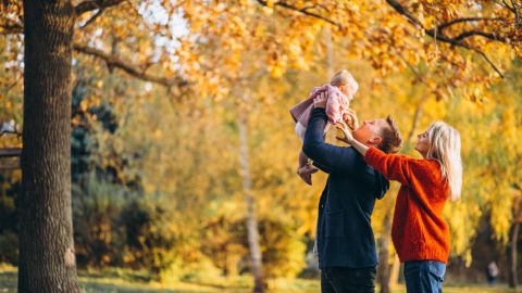 Длинные выходные в октябре 2021: какие дни отработаем и что отпразднуем