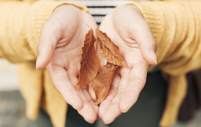 Какой церковный и народный праздник 28 сентября, что нельзя делать в особенный день