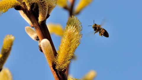 Синоптики назвали дату потепління в Україні