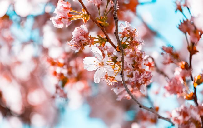 В Україну увірветься антициклон Vesna і принесе кардинальну зміну погоди