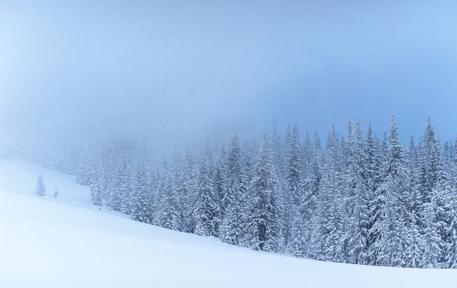 У Росії лавина зійшла на гірськолижний курорт. Під снігом опинилися будинки