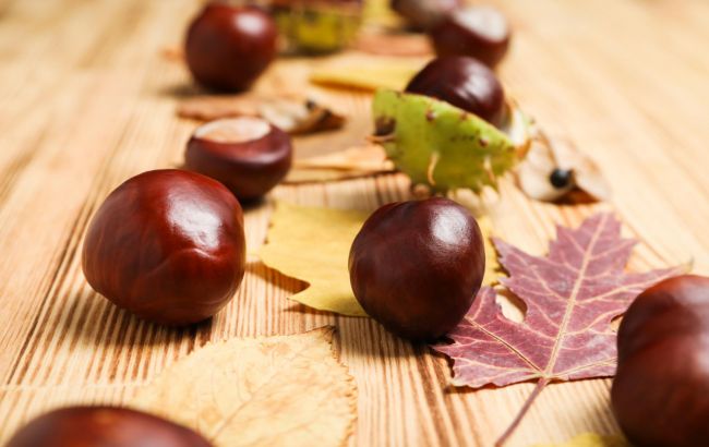Каштани допоможуть позбутися поширеної проблеми в будинку: покладіть їх на підвіконня
