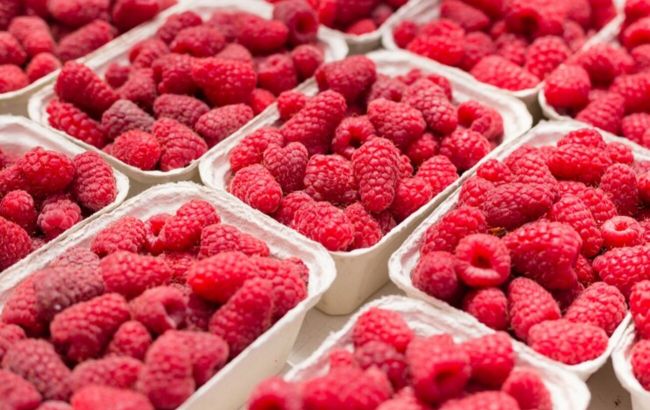 Сезон малины в Украине: цены на ягоду снизились на 27%