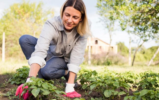 Лунный посевной календарь на май 2025: благоприятные дни для всех растений