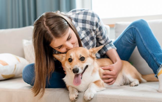 Ветеринар назвала скрытые признаки боли у собаки, которые владельцы часто не замечают