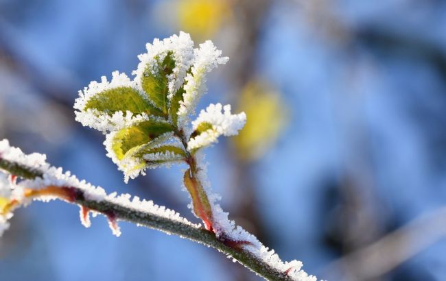 В ряде областей Украины завтра возможны заморозки