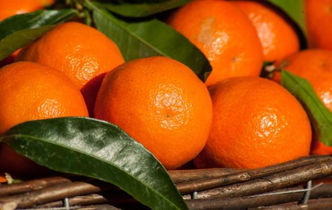 В Днепре фура "застелила" дорогу тоннами мандарин