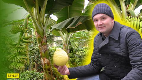 Житель Буковини побудував теплицю для тропічного саду (відео)