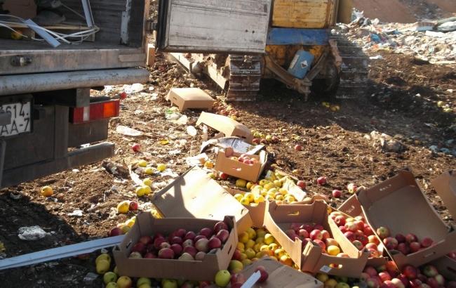 Найти и уничтожить: в России ликвидирована партия польских яблок