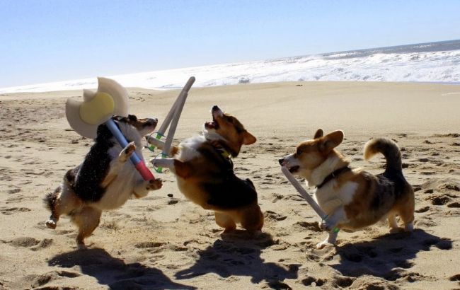 Погода на сегодня: в Украине местами дожди, температура до +36