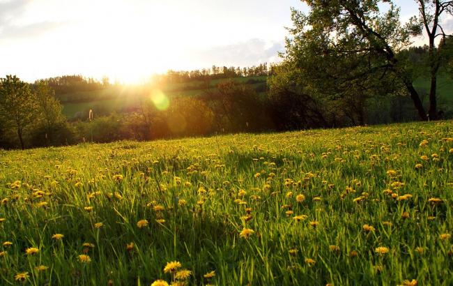 Погода на завтра: на заході України дощі з грозами, температура до +25