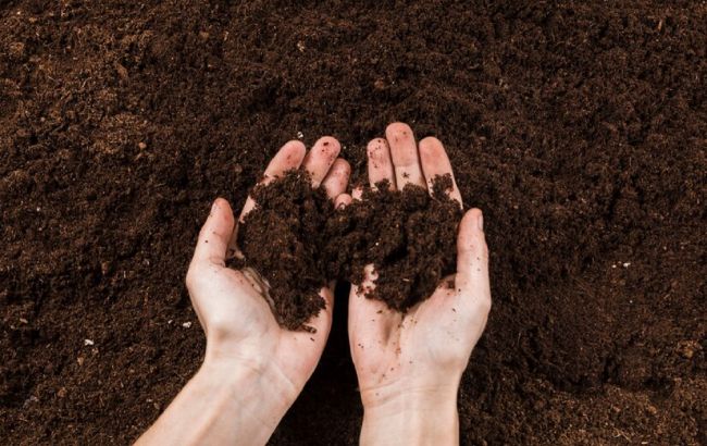 Главный секрет огорода: различаем типы почвы и подбираем под них растения