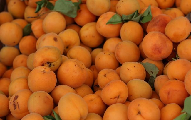 Більше ніяких зіпсованих абрикосів. Ось як правильно їх зберігати