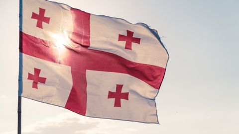 Украина может дать убежище экс-чиновнику из Грузии, обвиняемому в пытках