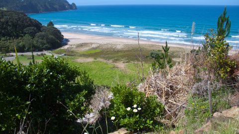 У Новій Зеландії розповіли, коли відкриють країну для туристів