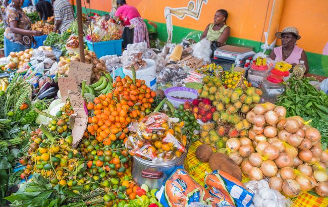 Названа единственная страна в мире, которая может прокормить себя самостоятельно: это не Украина