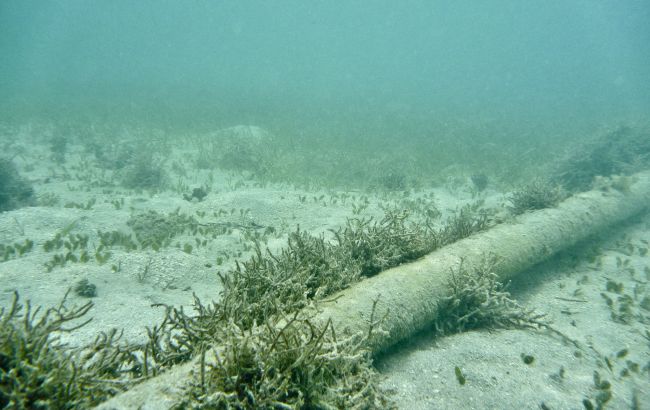В Финском заливе поврежден один из подводных кабелей связи