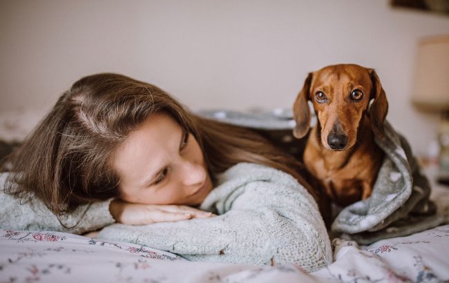 Стоит ли спать с собаками и котами: ученые дали наконец-то ответ