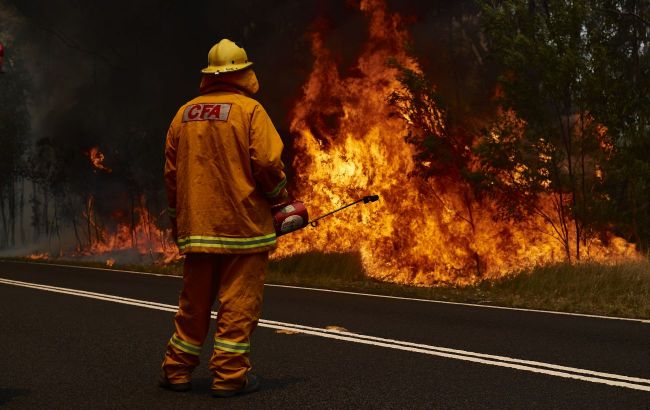 В Алжире бушуют лесные пожары: огонь уже унес десятки жизней