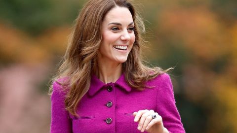 Изысканная простота: Кейт Миддлтон в безупречном наряде блистает на видеоконференции