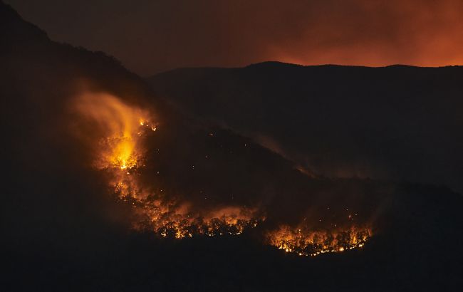 Лісова пожежа на Гаваях завдала мільярдних збитки, загинули щонайменше 89 осіб