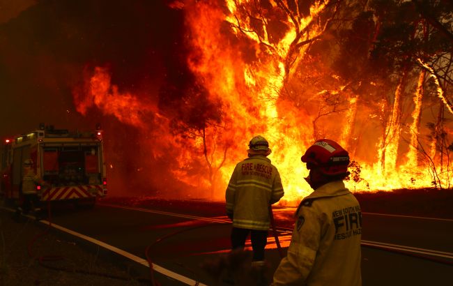 В Австралії вирують масштабні лісові пожежі