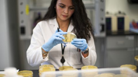 В России выявили "Гамма" штамм коронавируса