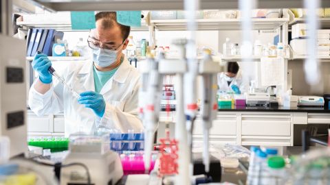 ВОЗ созывает совещание из-за нового штамма коронавируса