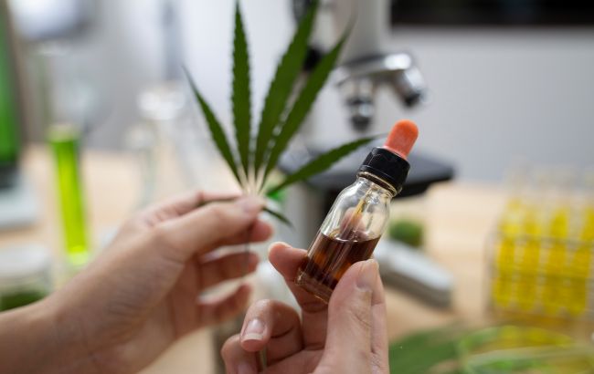 В Украине впервые официально разрешили ввоз медицинского каннабиса