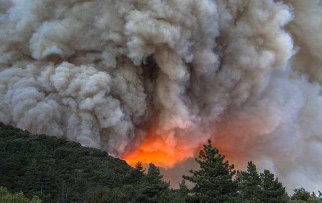 Для тушения крупнейших в истории лесных пожаров в Канаде привлекли армию