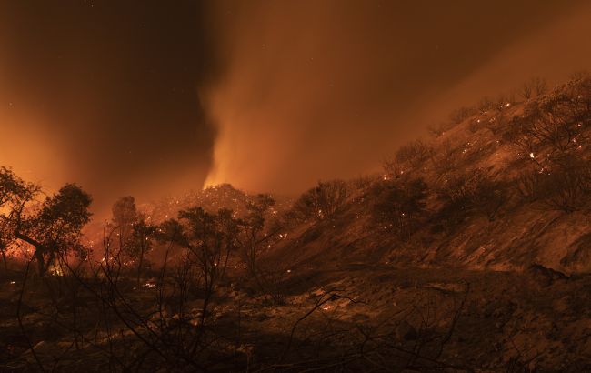 В Карелии горят леса. Введен режим чрезвычайной ситуации
