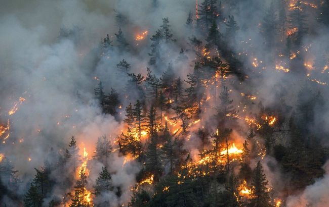 Через масштабні лісові пожежі в Канаді евакуювали понад 16 тисяч осіб