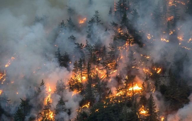 Масштабні лісові пожежі в Канаді: евакуйовано кілька тисяч жителів
