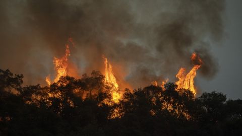 Евросоюз отправил самолеты для борьбы с пожарами на итальянском острове