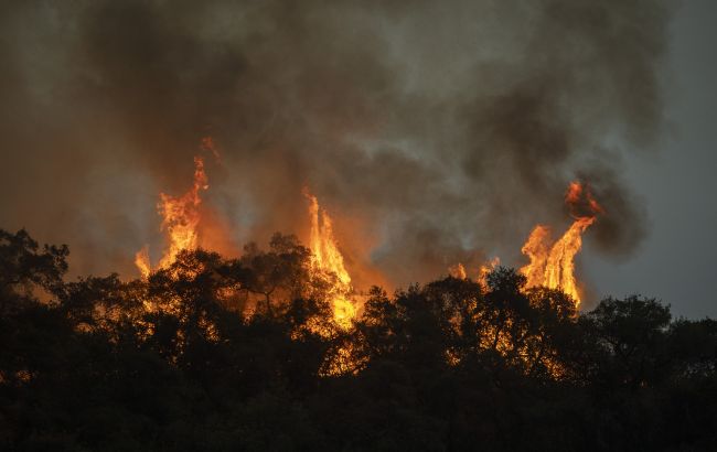 У Казахстані вирують масштабні лісові пожежі, загинуло щонайменше 14 людей