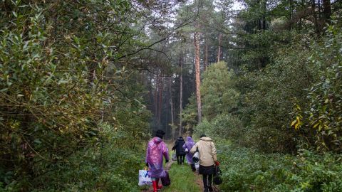 Возле польской границы нашли тело мигранта из Сирии