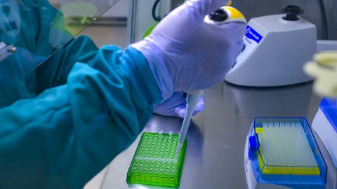 Вчені з США виявили антитіло, яке нейтралізує COVID-19