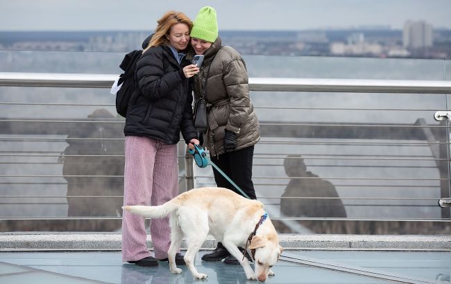 Після блекаутів. Оператори назвали головні проблеми зі зв'язком в Україні