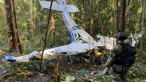 40 днів пекла і магічний ритуал. Четверо маленьких дітей дивом вижили в джунглях після авіакатастрофи
