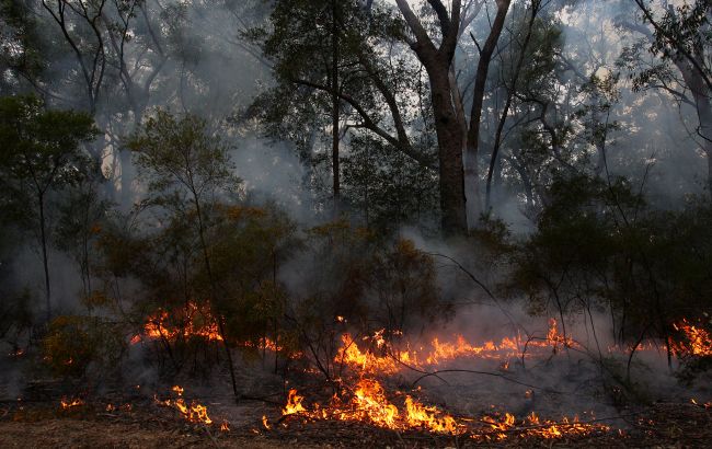 В Испании погиб огнеборец во время тушения лесного пожара
