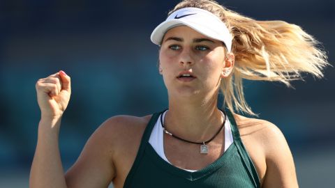 Українська тенісистка пробилася в півфінал турніру WTA