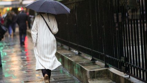 Дождь и небольшой ветер: синоптик дала прогноз погоды на завтра