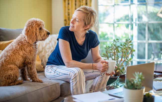 Собака на диване: "да" или "нет"? Известный кинолог расставил все точки над "і"