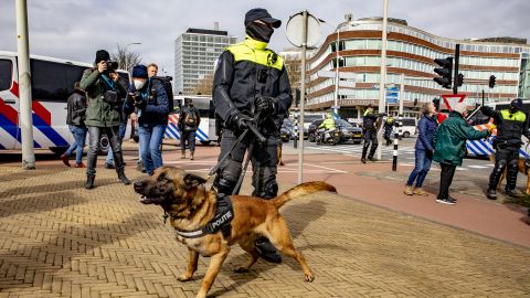 В Гааге силовики натравили собак на протестующих против карантина, есть пострадавшие